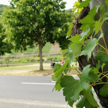 Ferienwohnung Moselblick 브루티크판켈 외부 사진