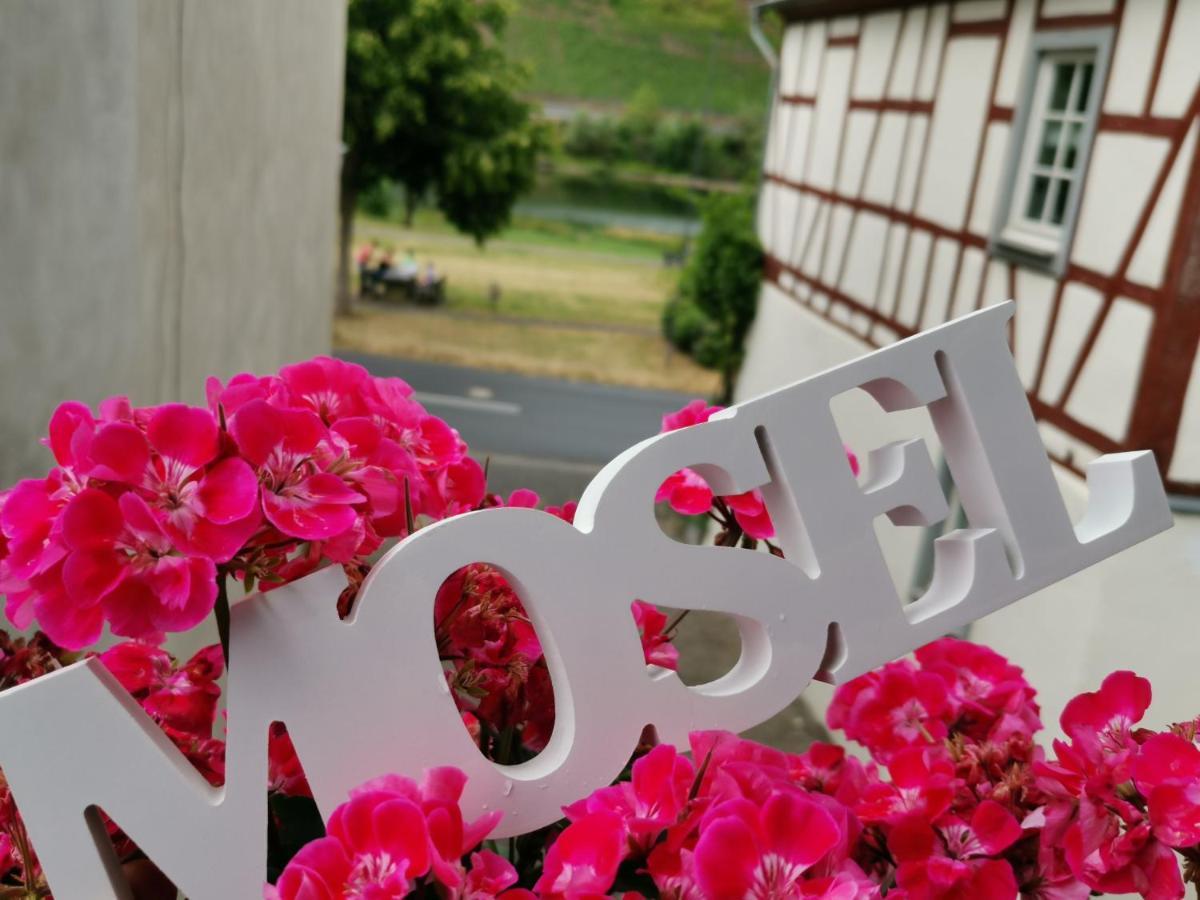 Ferienwohnung Moselblick 브루티크판켈 외부 사진